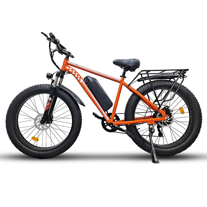 SnowCruiser 1000 E-Bike
