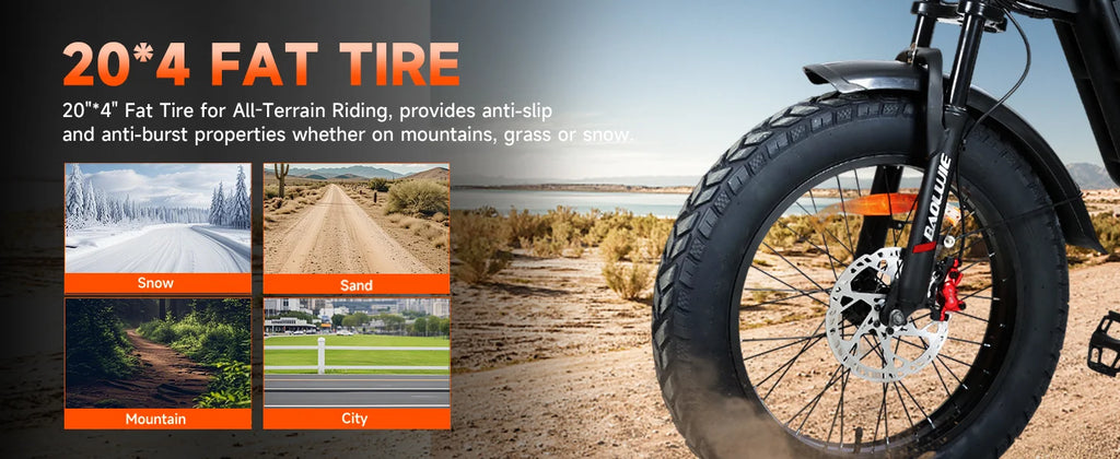 RoadHawk DM01 E-Bike