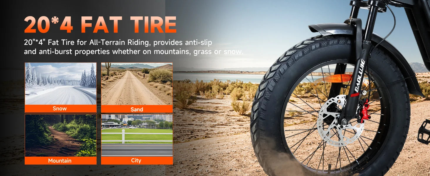 RoadHawk DM01 E-Bike