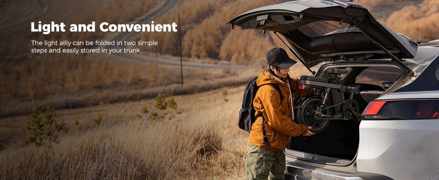 Engwe T14 Mini E-Bike