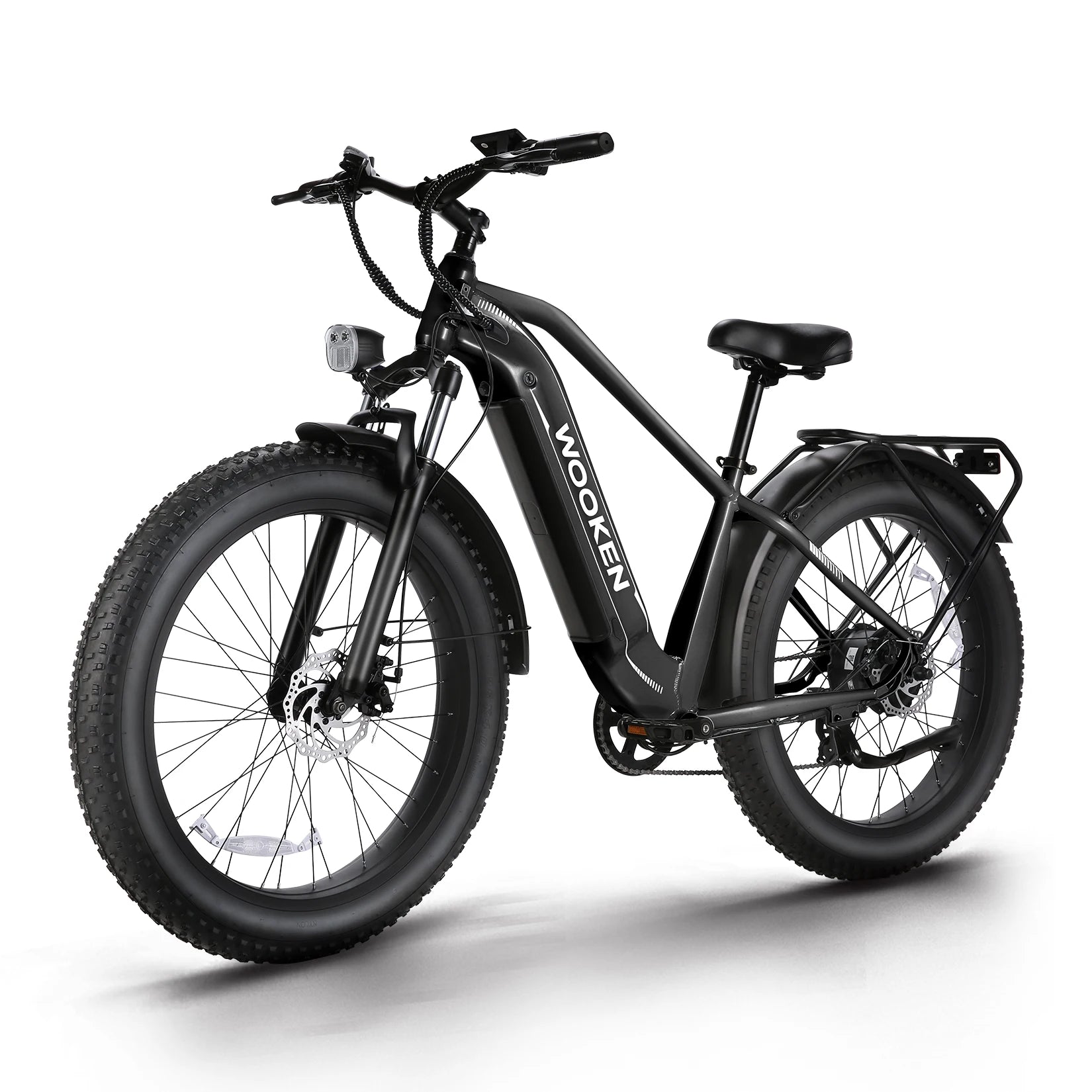 FatCruiser 1500 E-Bike