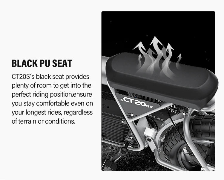 Coswheel CT20S SnowCruise E-Bike