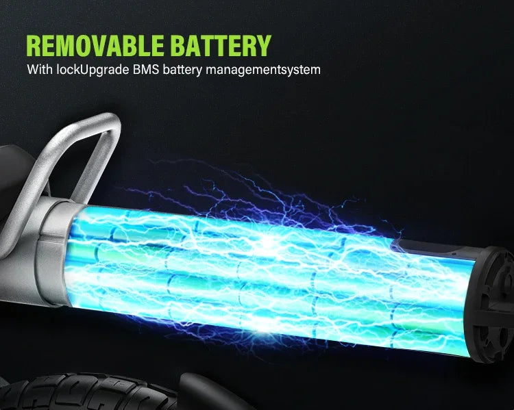 Coswheel CT20S SnowCruise E-Bike