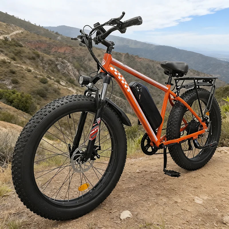 SnowCruiser 1000 E-Bike