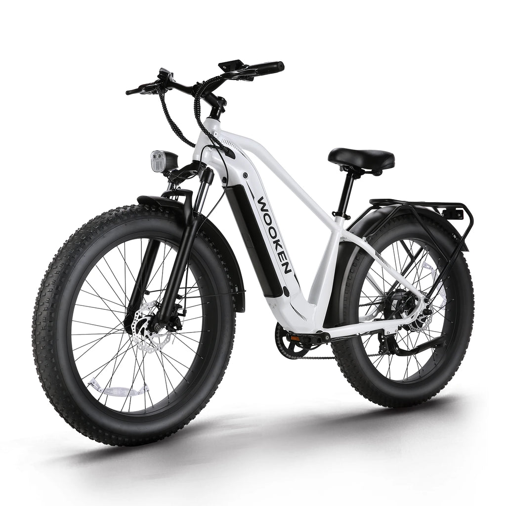 FatCruiser 1500 E-Bike