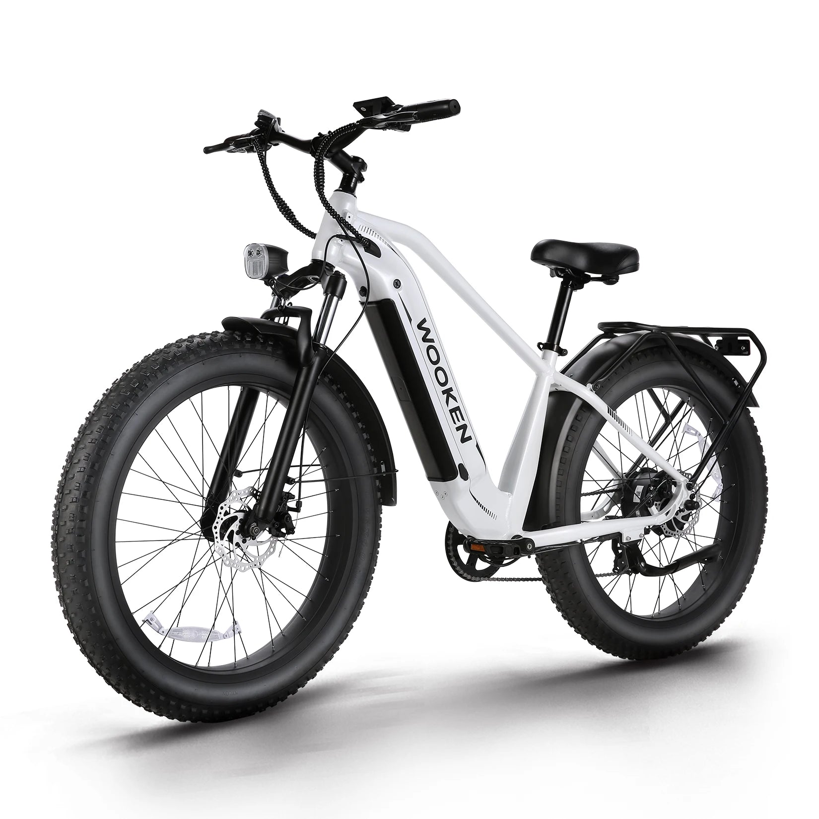 FatCruiser 1500 E-Bike