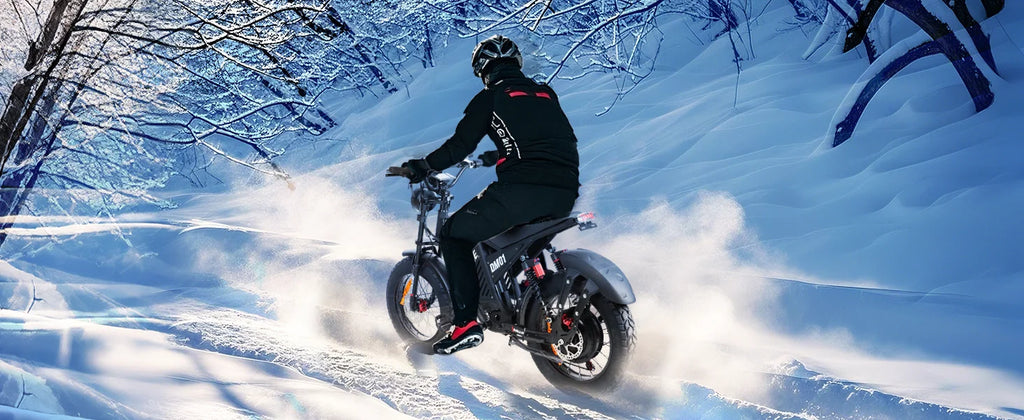 RoadHawk DM01 E-Bike