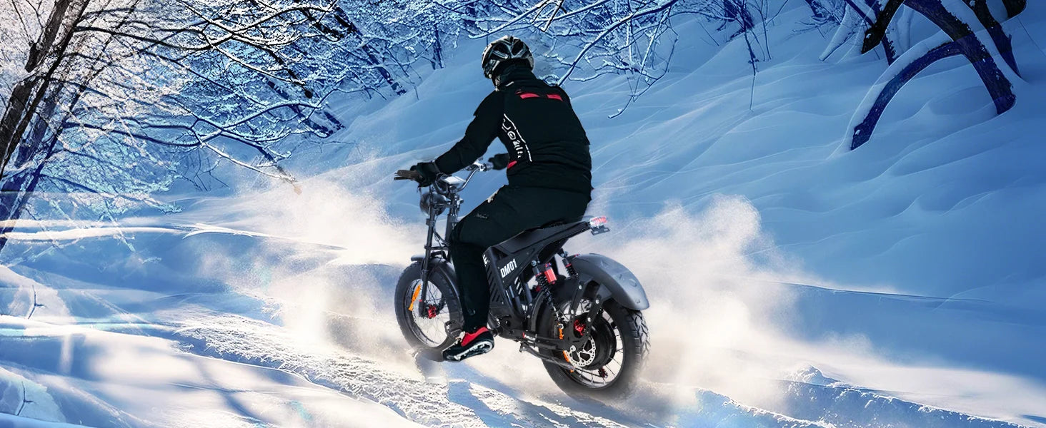 RoadHawk DM01 E-Bike