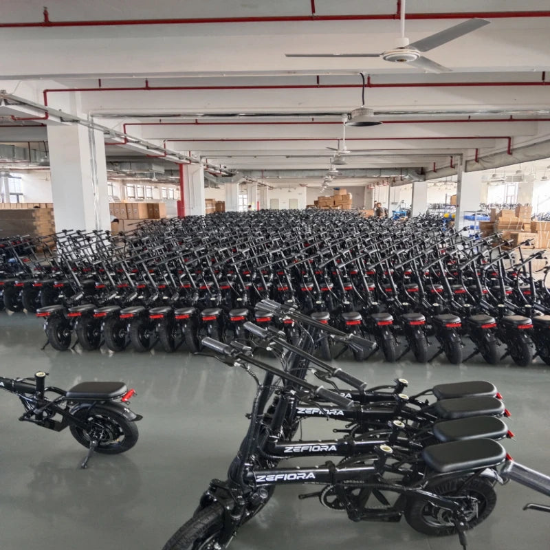 Zefiora Z10 Commuter E-Bike