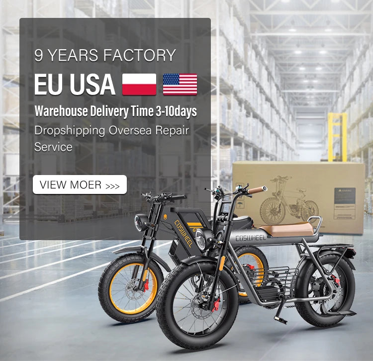 Coswheel CT20S SnowCruise E-Bike