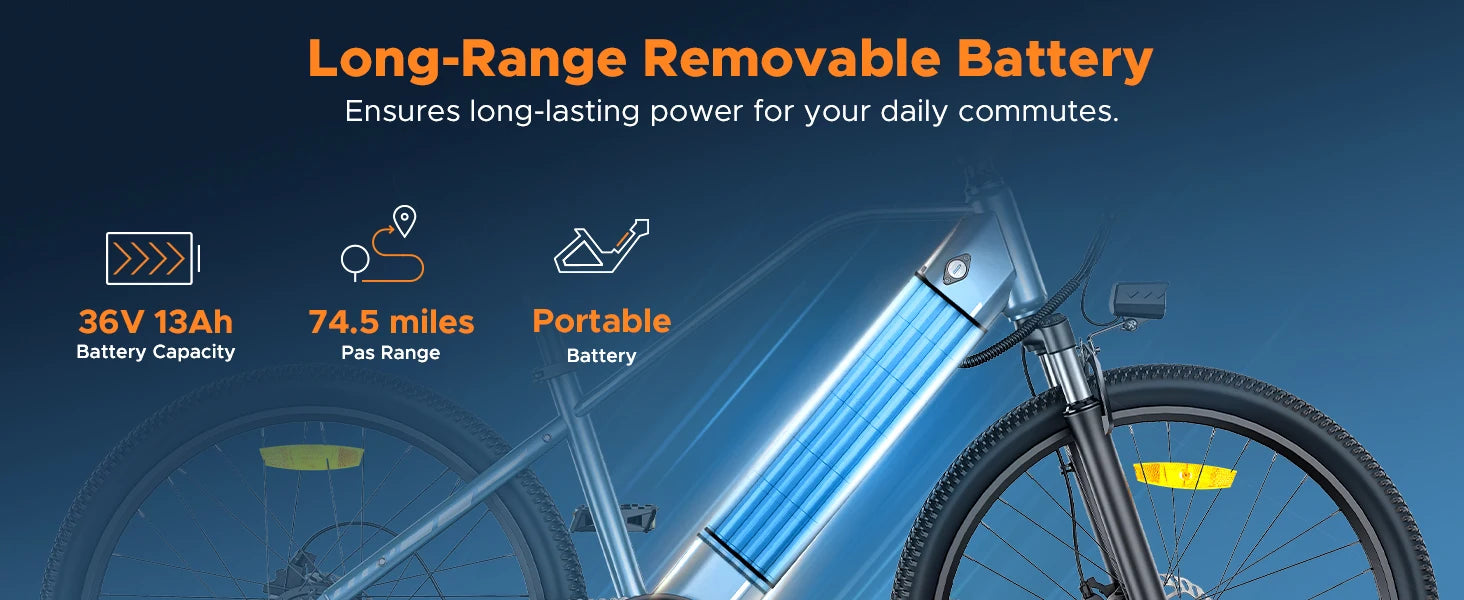 TrailRider 700 E-Bike