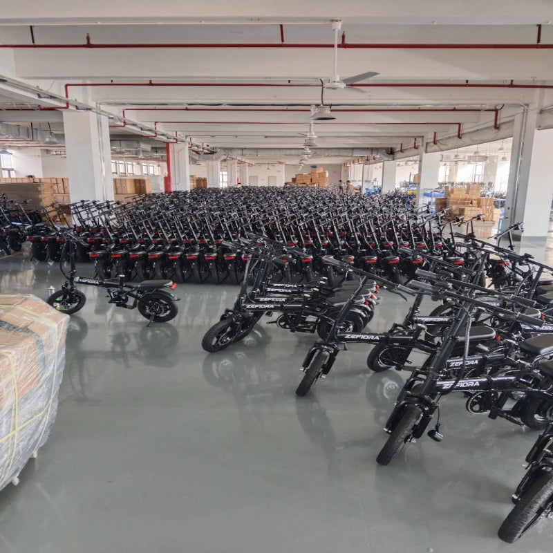 Zefiora Z10 Commuter E-Bike