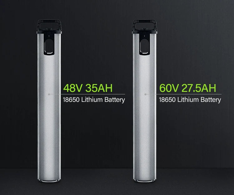 Coswheel CT20S SnowCruise E-Bike