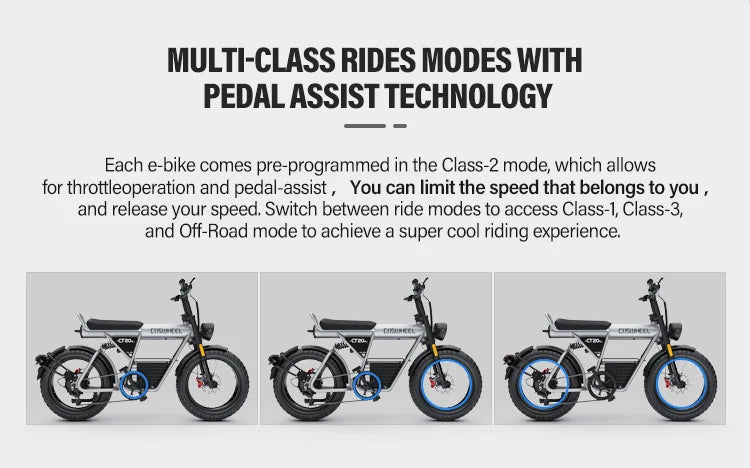 Coswheel CT20S SnowCruise E-Bike