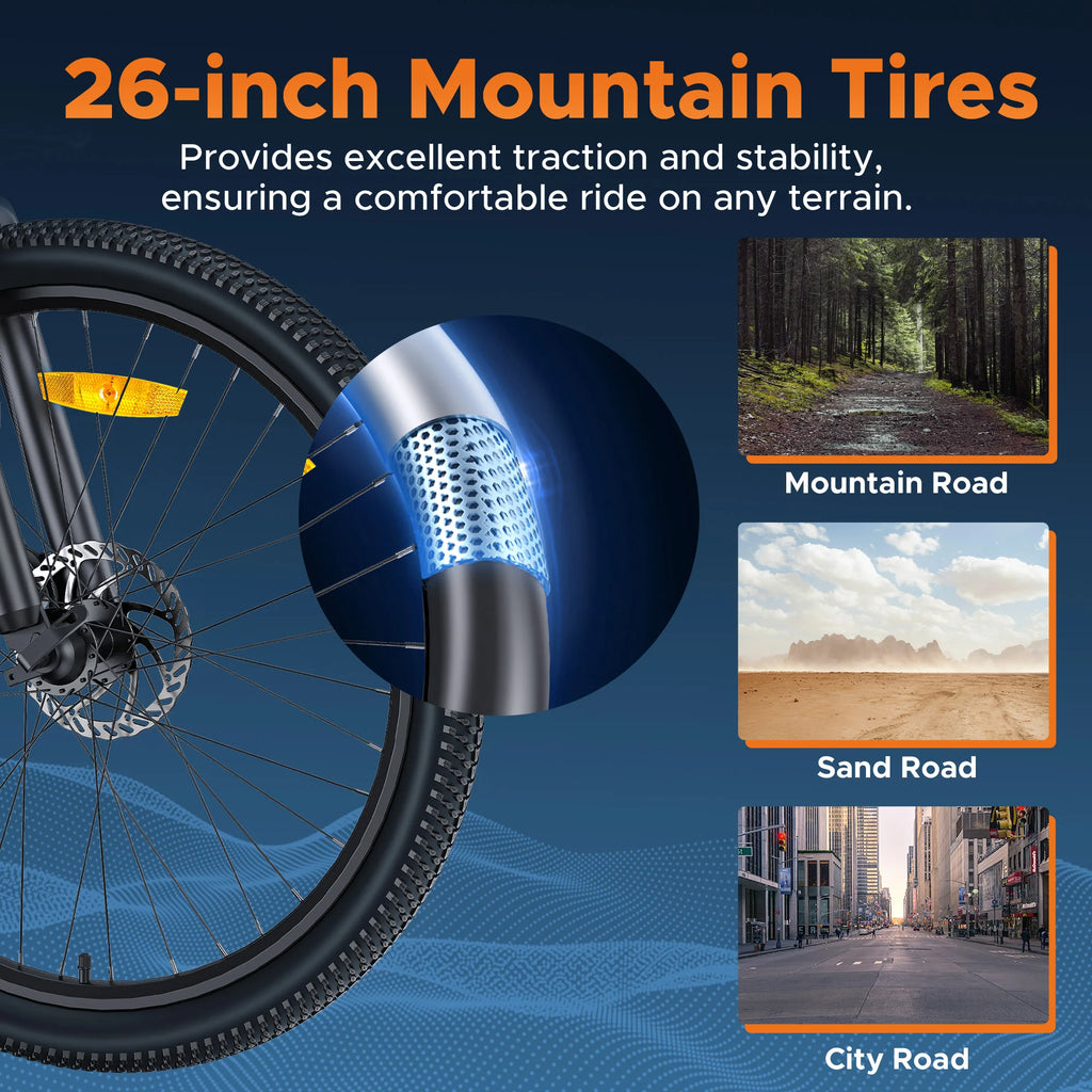 TrailRider 700 E-Bike