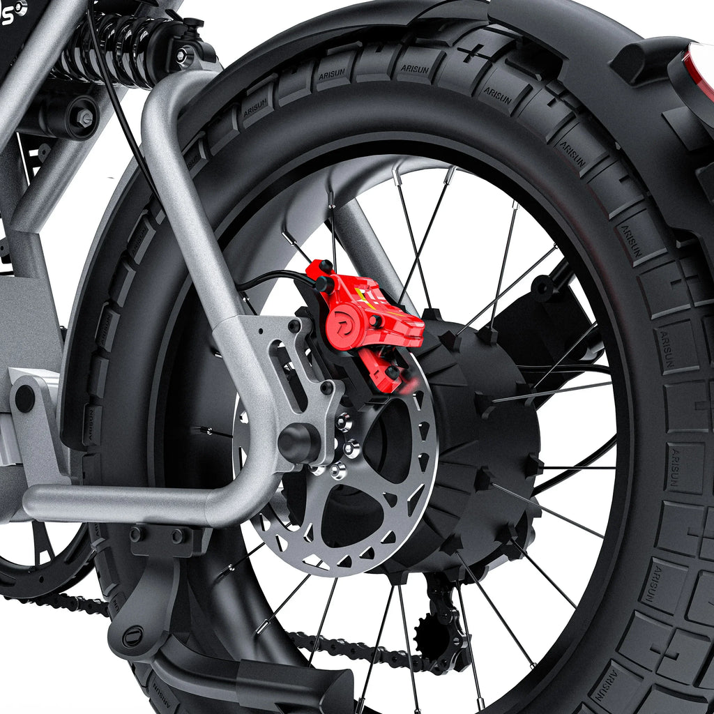 Coswheel CT20S SnowCruise E-Bike