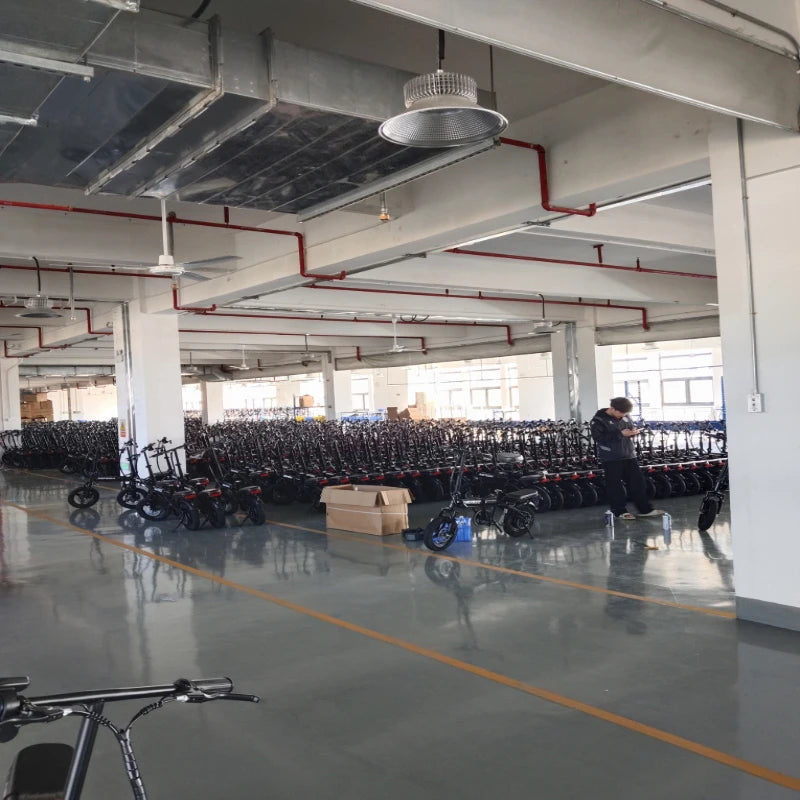 Zefiora Z10 Commuter E-Bike